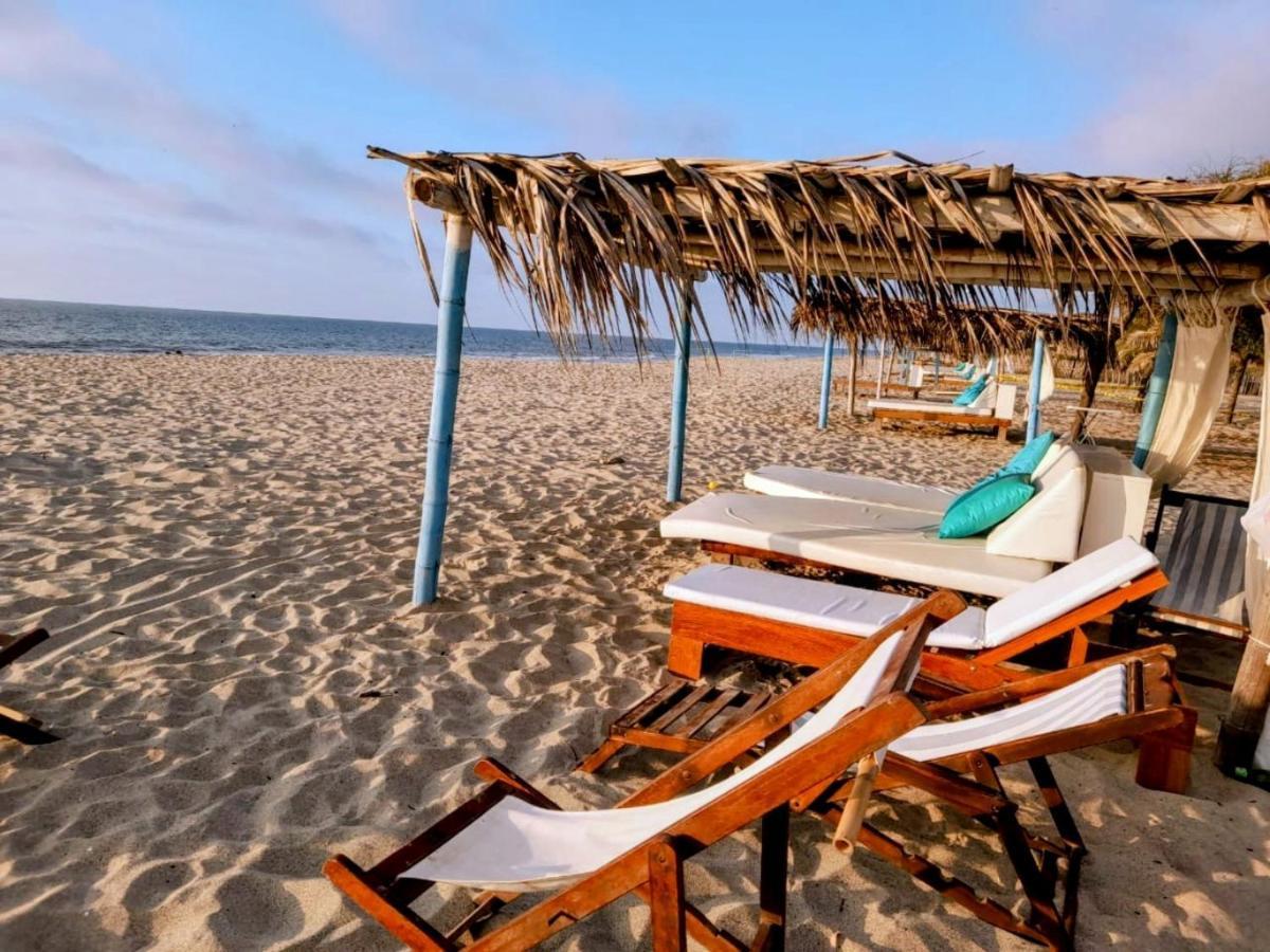 Bed and breakfast El Delfin Zorritos