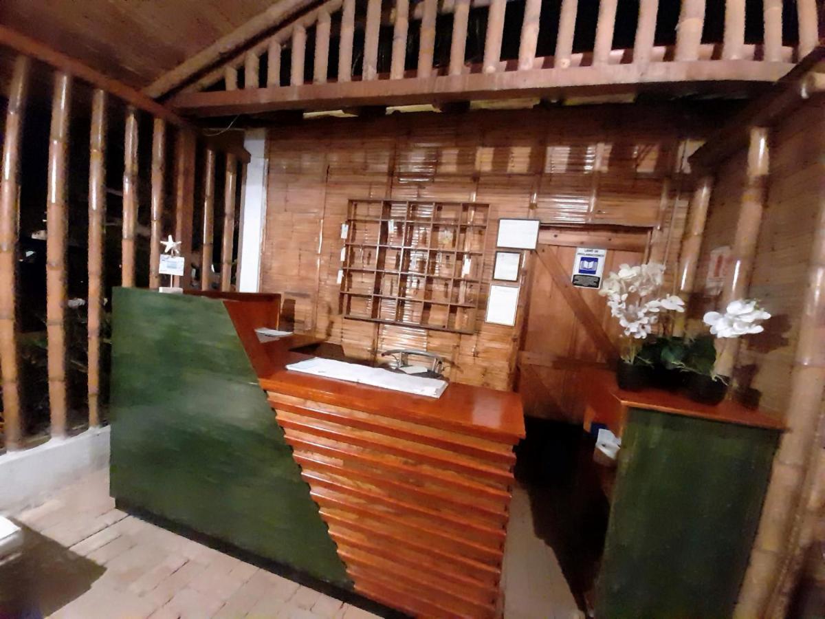 Bed and breakfast El Delfin *